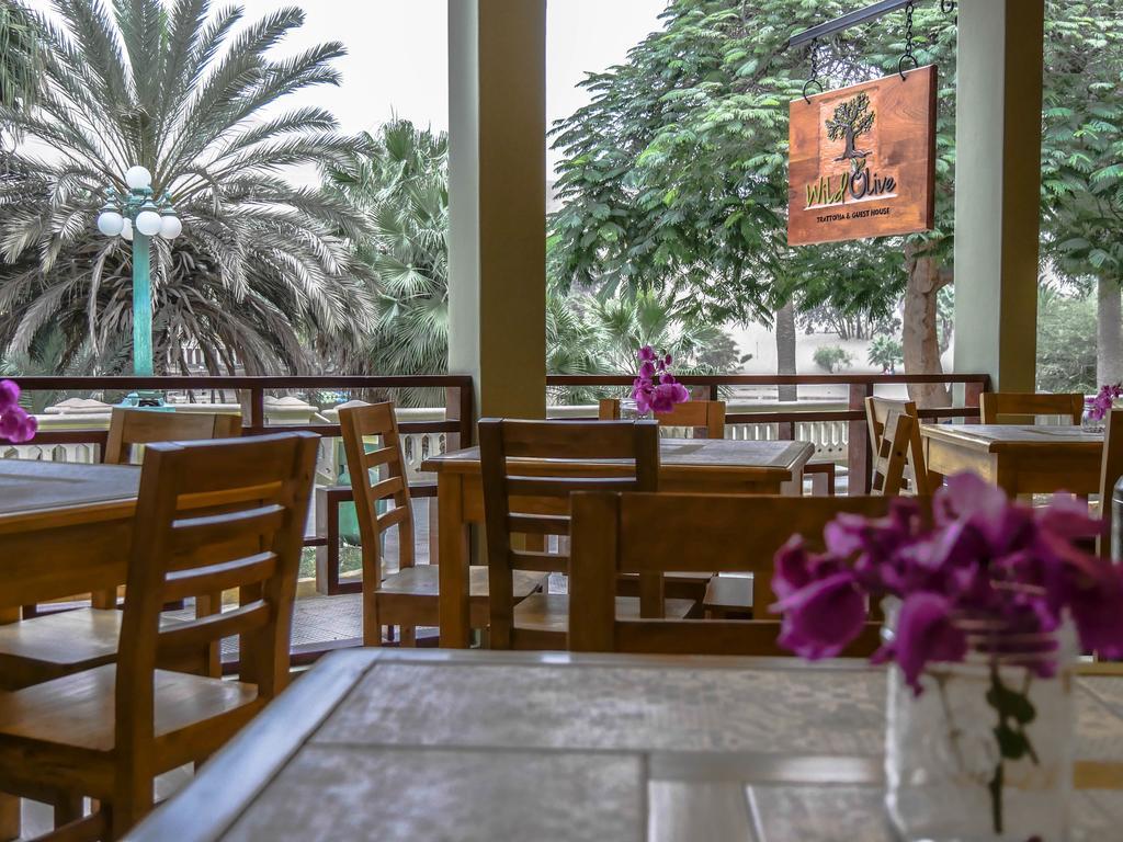 Hostal Wild Olive Ica